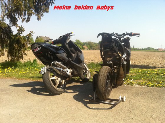 Meine Beiden Babys