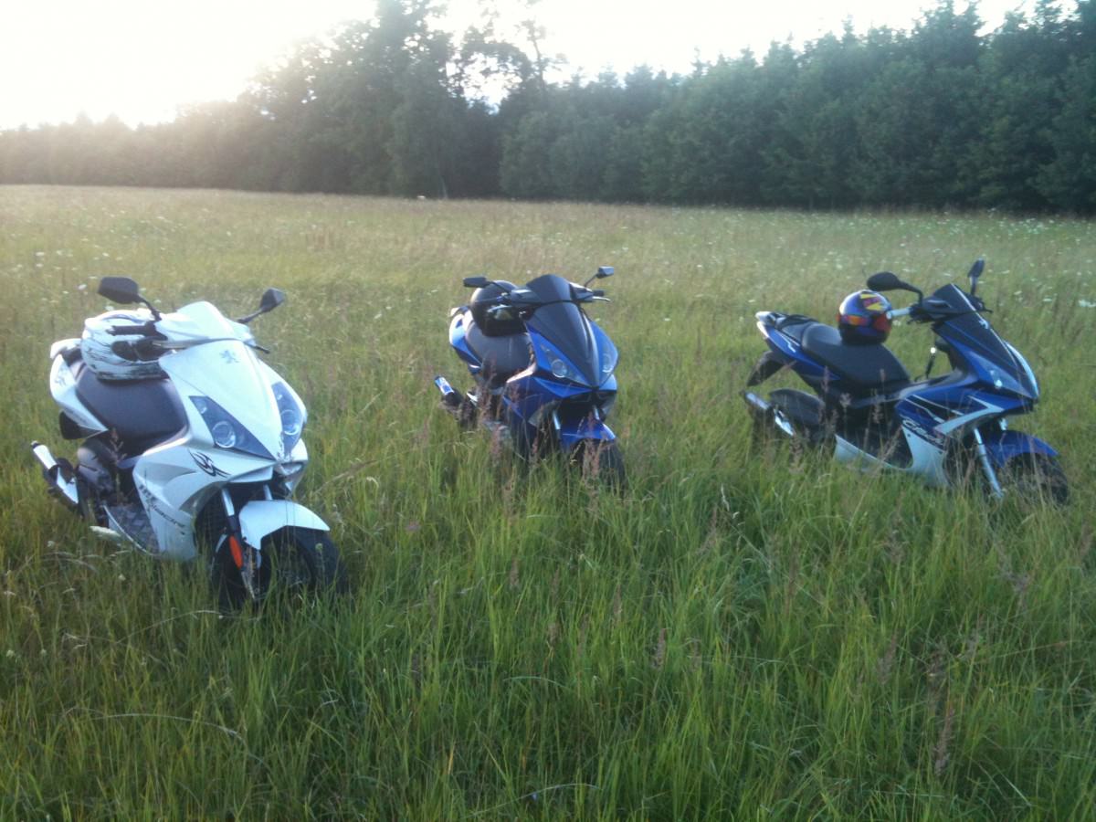 Wir sind hart wie Kartoffelsalart