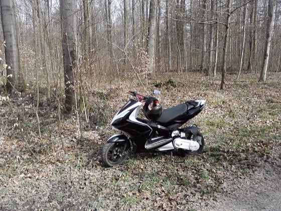 Mit meinem Jetforce im wald
