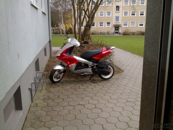 30032010379.jpg