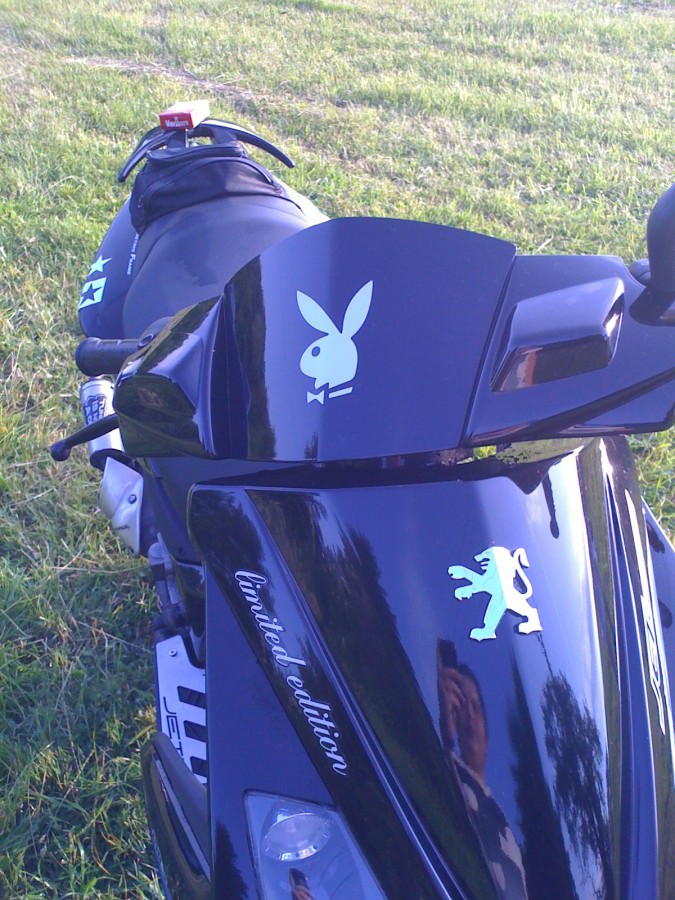 Playboy sticker dranlassen oder weg machen ?!