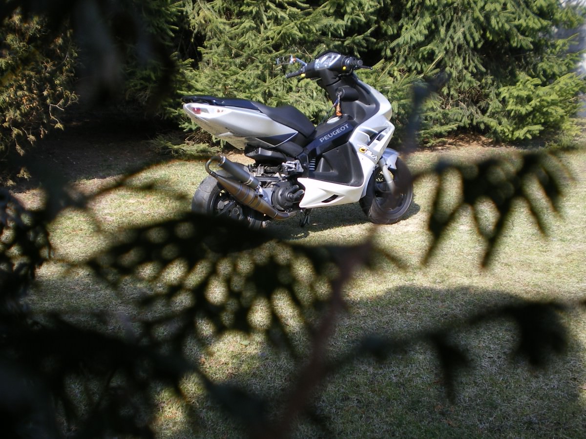IMGP5317