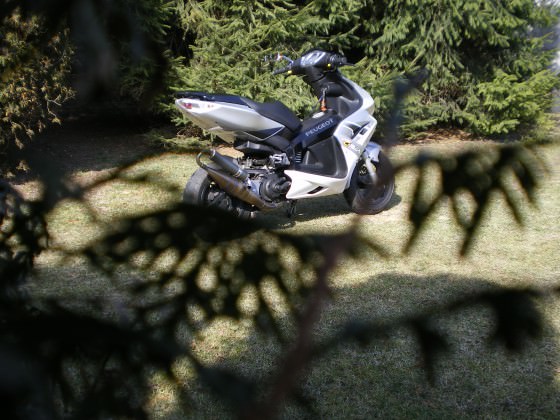 IMGP5317