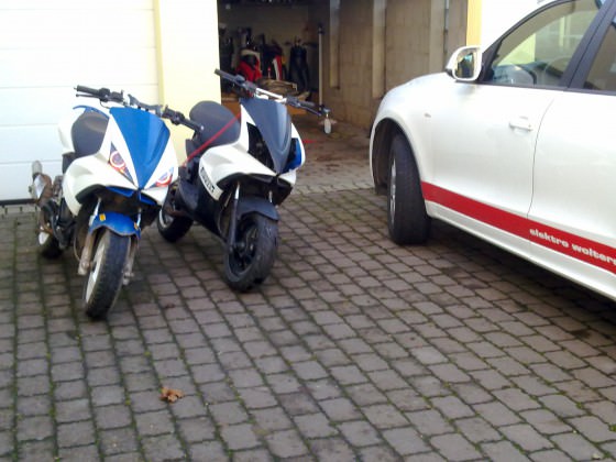 Transplantation! :D