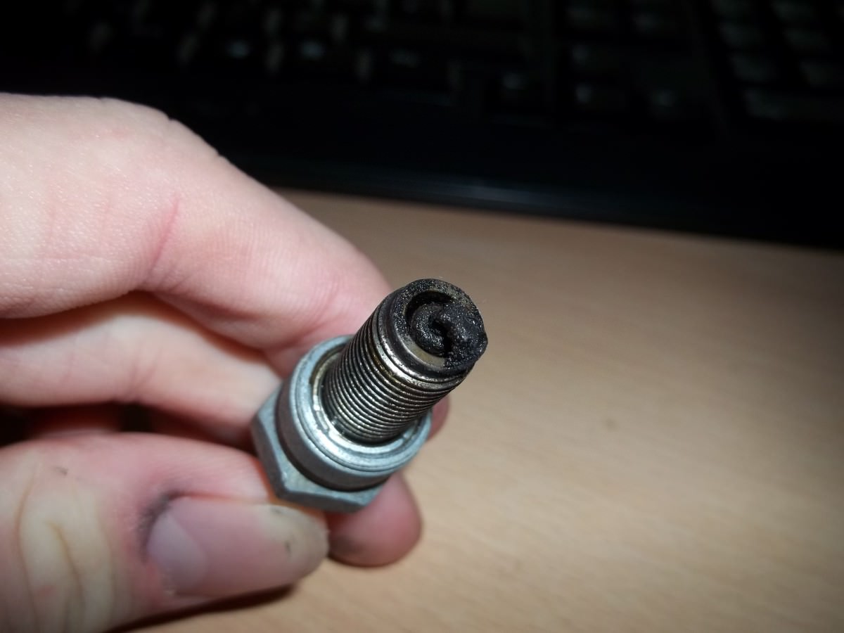 ein BISSCHEN zu fett