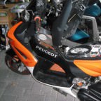 DSCI0368