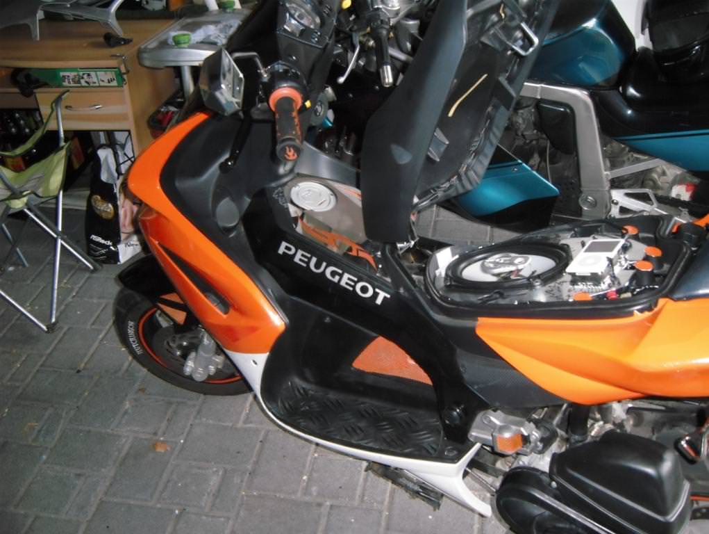 DSCI0368
