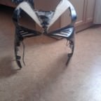Meine Custom Front !