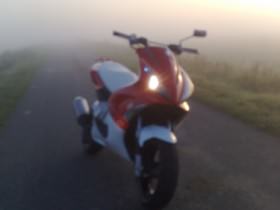 Bilder gemacht morgens um halb 8