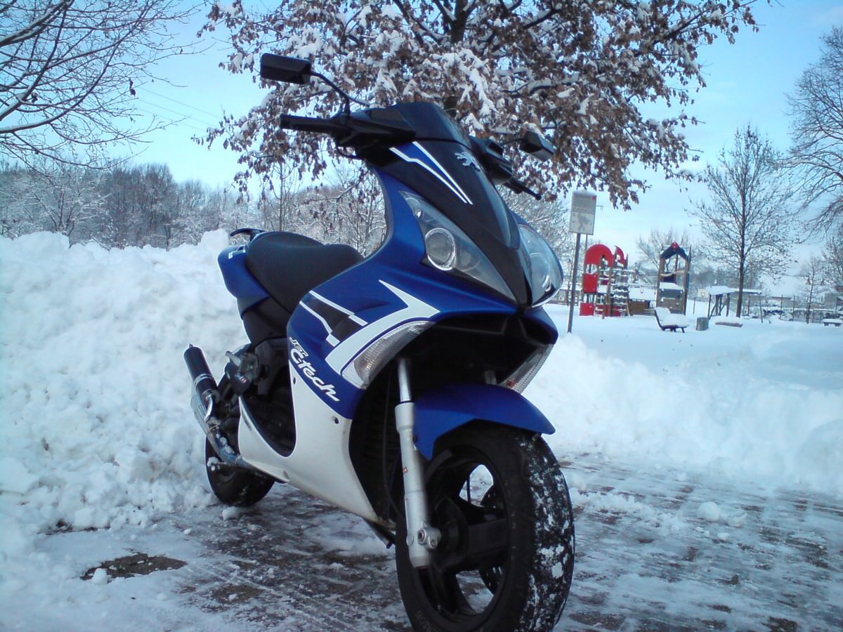 Paar schöne Schneebilder
