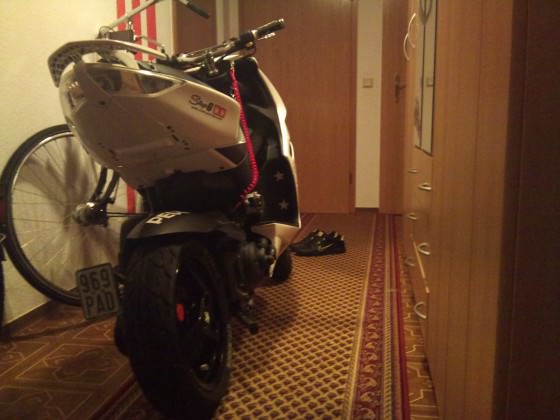 Zx kommt ♥