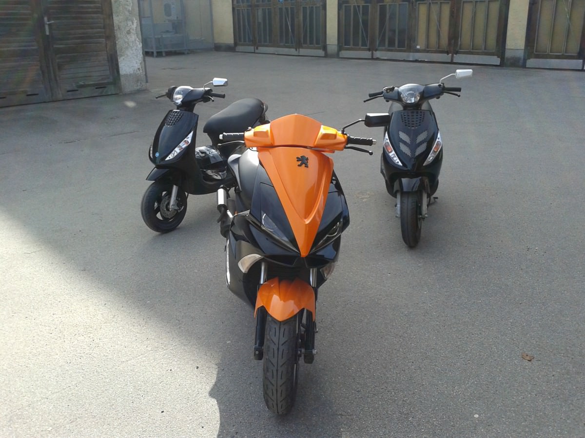 orangeblack jetts