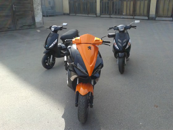 orangeblack jetts