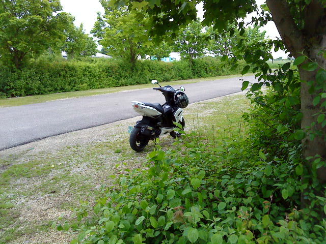 Mein Jetty ^^