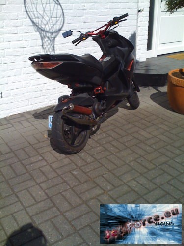 esd gelackt