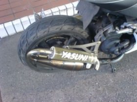Yasuni r zu verkaufen !!!!
