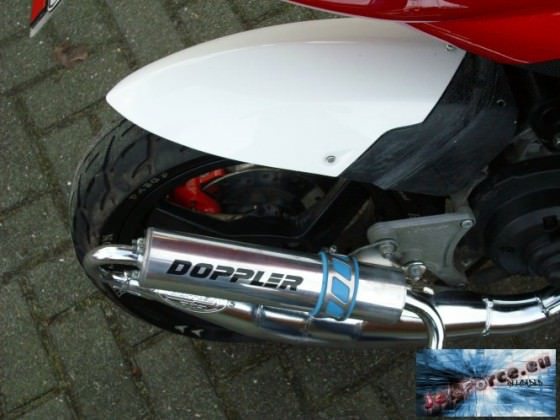 Pott