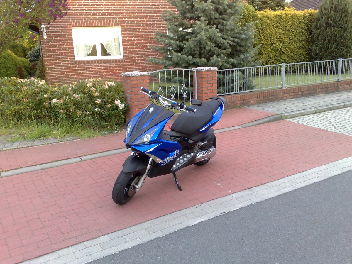 Bild 260