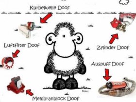 hier mal was wahr ist!:) ich musste voll lachen als ich das sah!